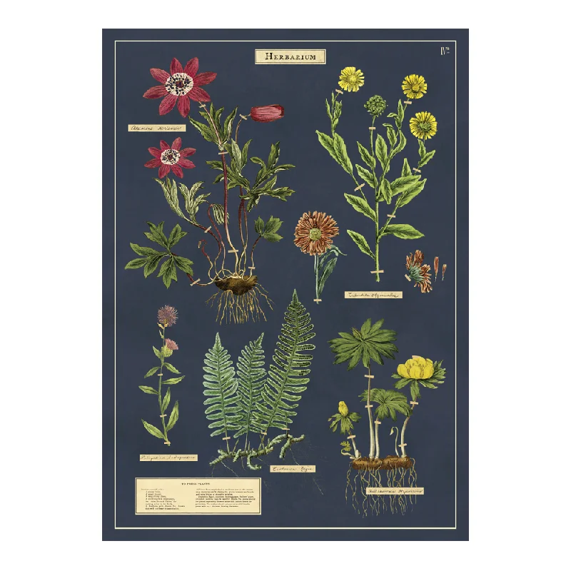 - Pet diabetes prescription foodCavallini Vintage Poster Herbarium