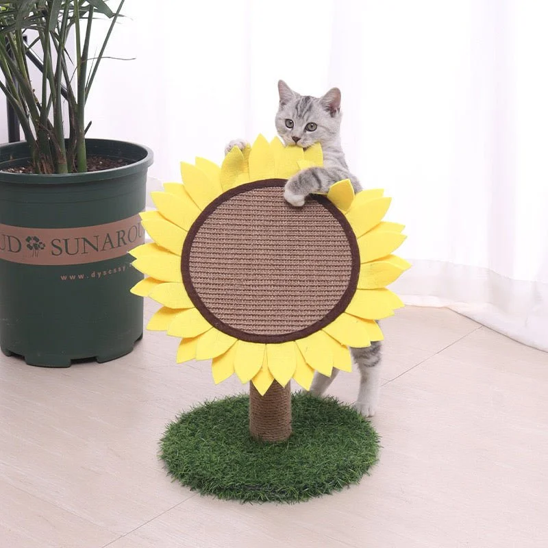 - Dog heart rate monitoring collarSunflower Cat Scratching Post