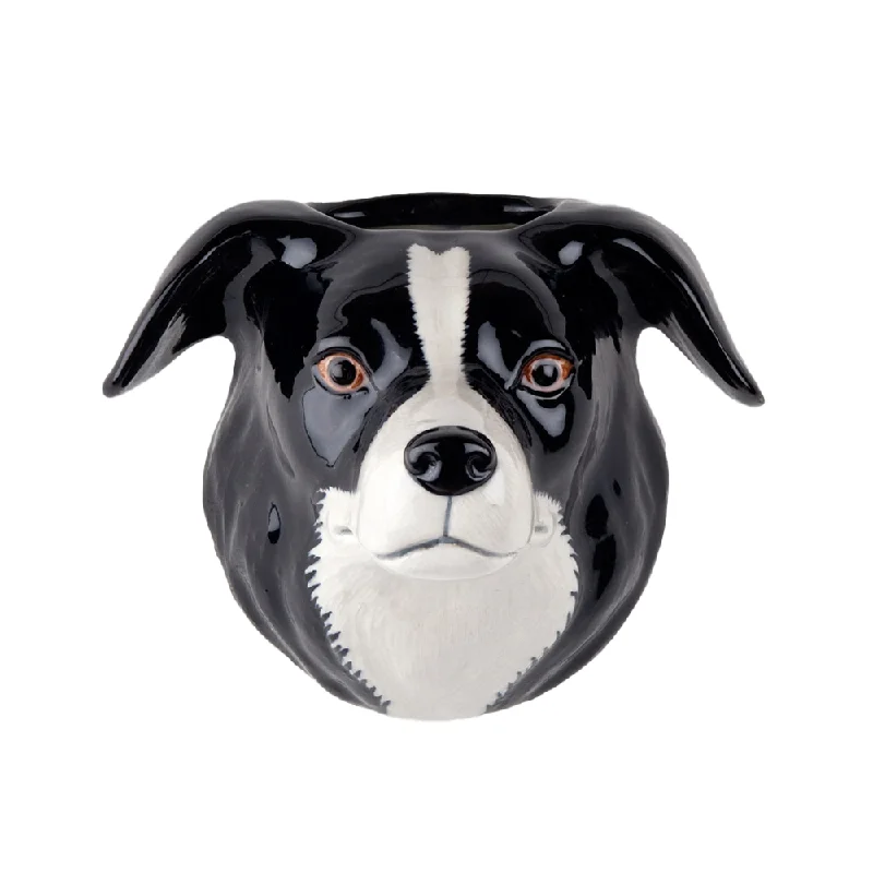 - Foldable and portable cat bagQuail Border Collie Wall Vase Small